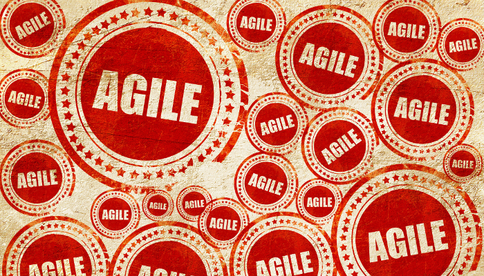 What Does an Agile Culture Look Like?