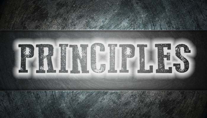 Examining the Twelve Principles of Agile